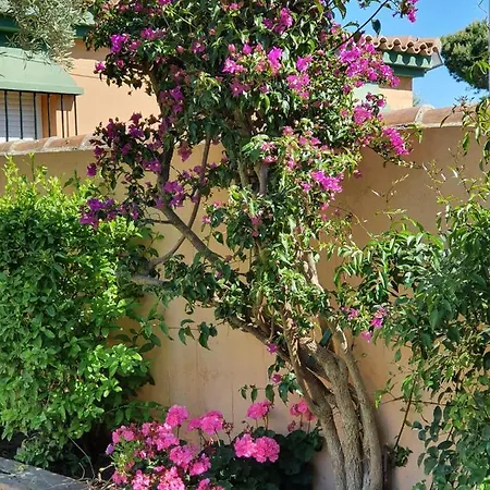 Ostrero Villa